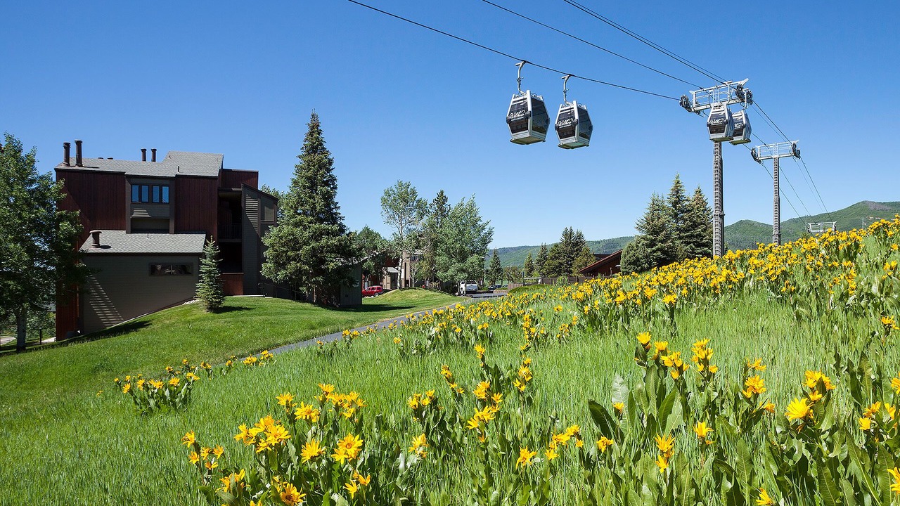 Photo of Others in Steamboat Springs