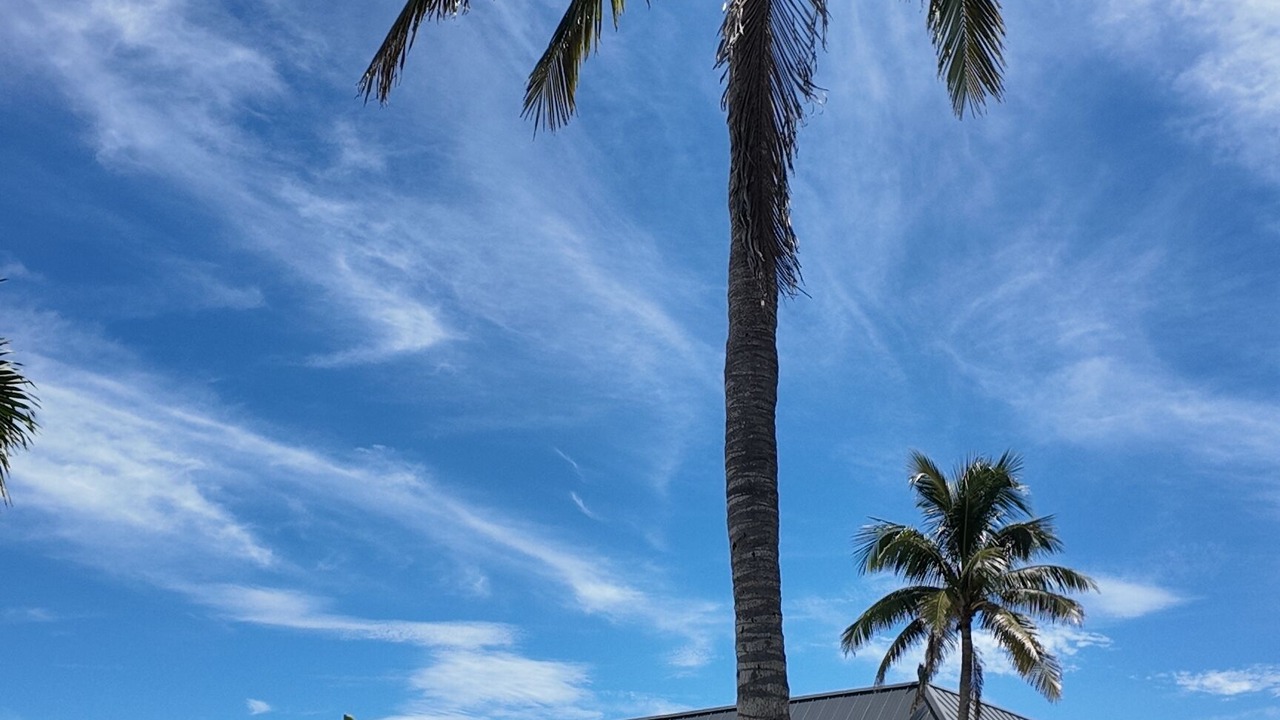 Photo of Outdoor in Sanibel