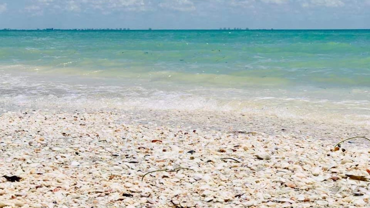 Photo of Others in Sanibel
