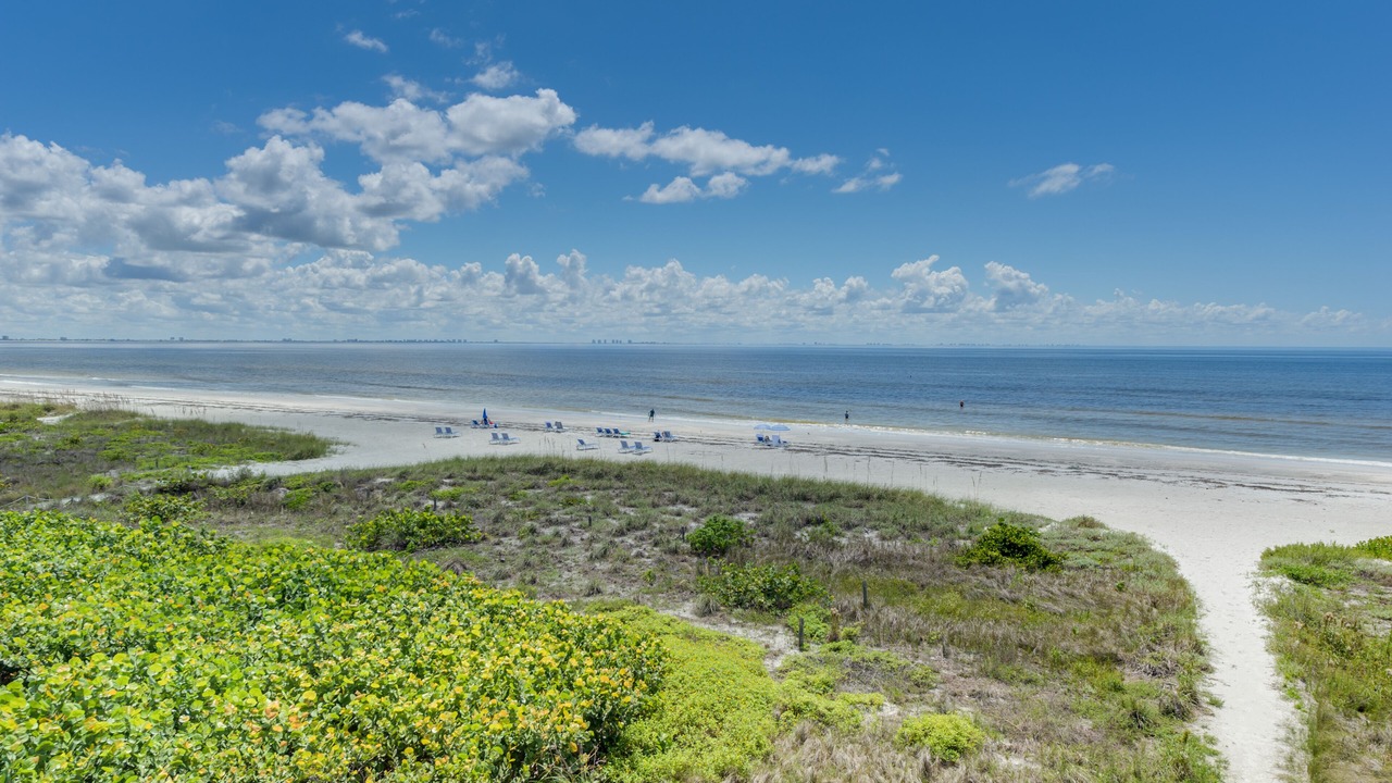 Photo of Others in Sanibel