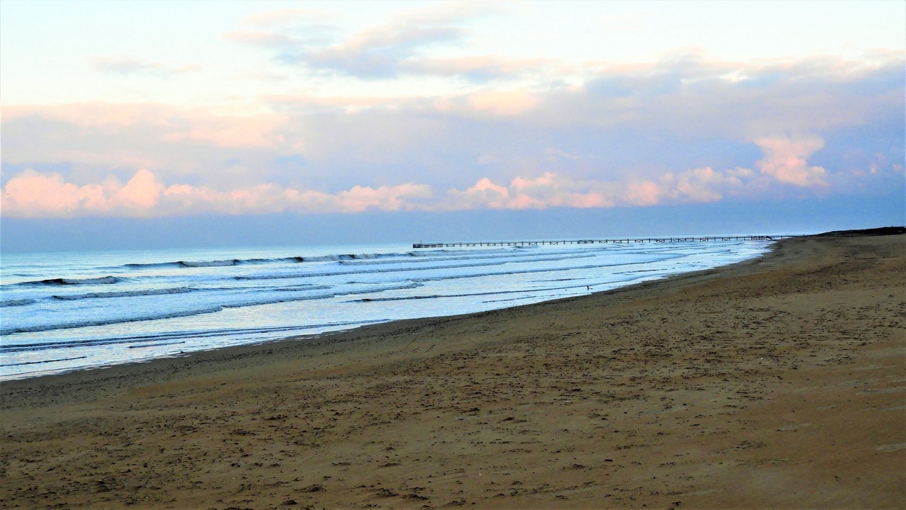 Photo of Others in Saint-Jean-de-Monts