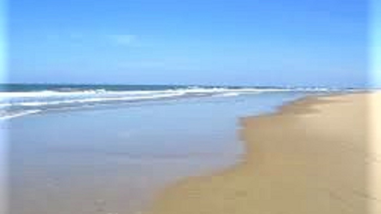 Photo of Others in Saint-Jean-de-Monts