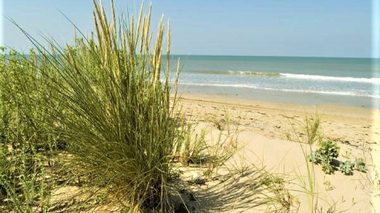 Photo of Others in Saint-Jean-de-Monts