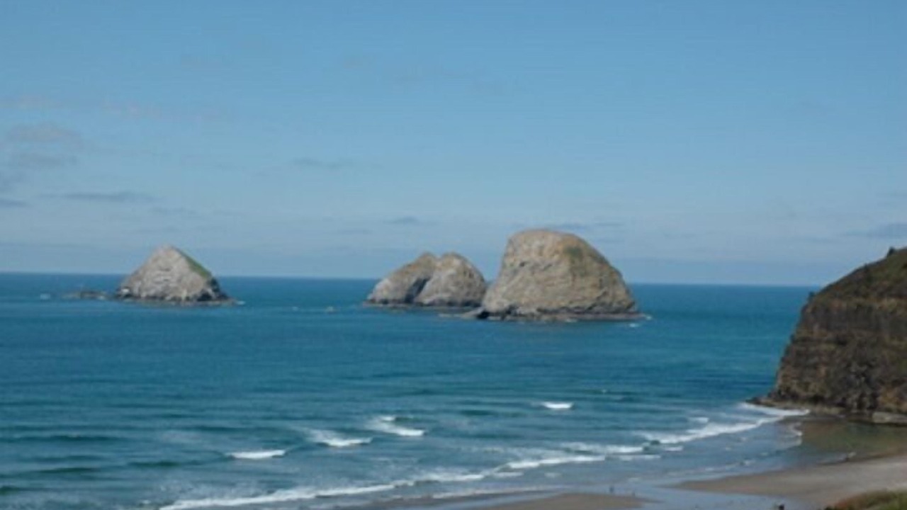 Photo of Others in Oceanside