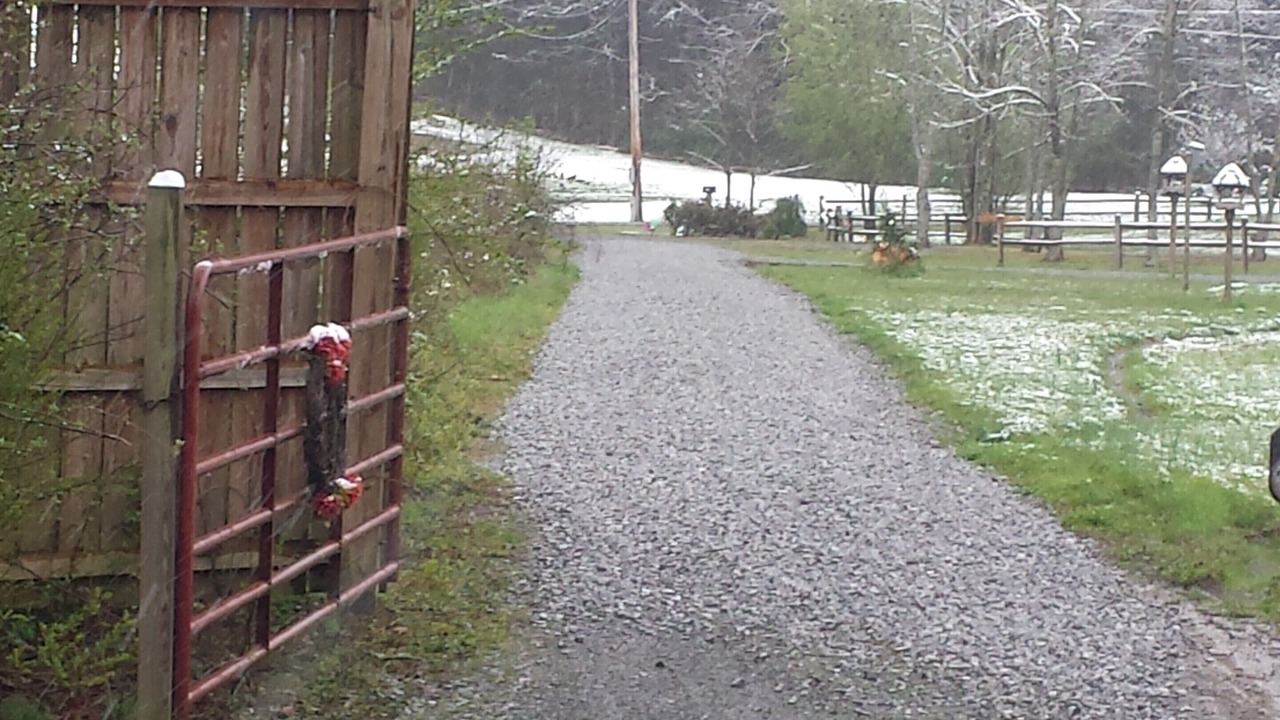 Photo of Others in Sevierville