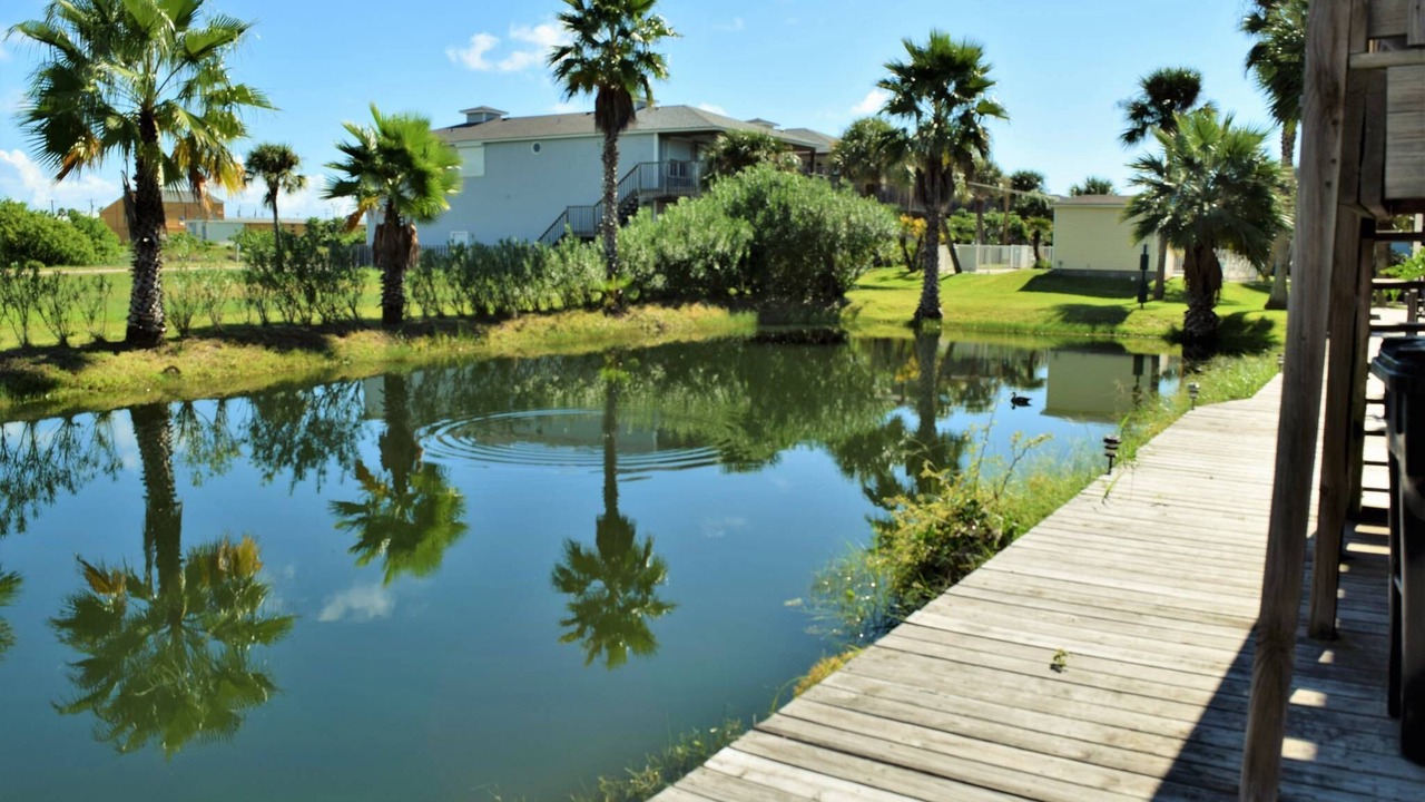 Photo of Outdoor in Port Aransas