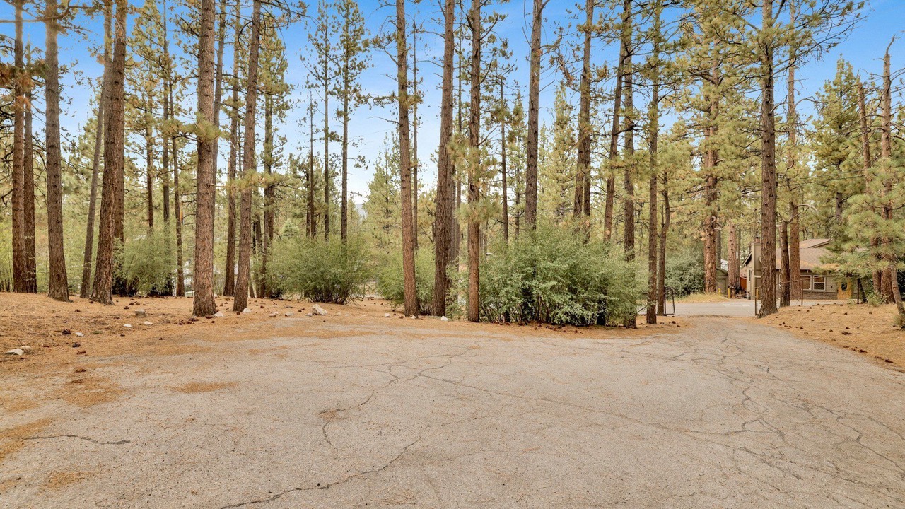 Photo of Others in Big Bear City