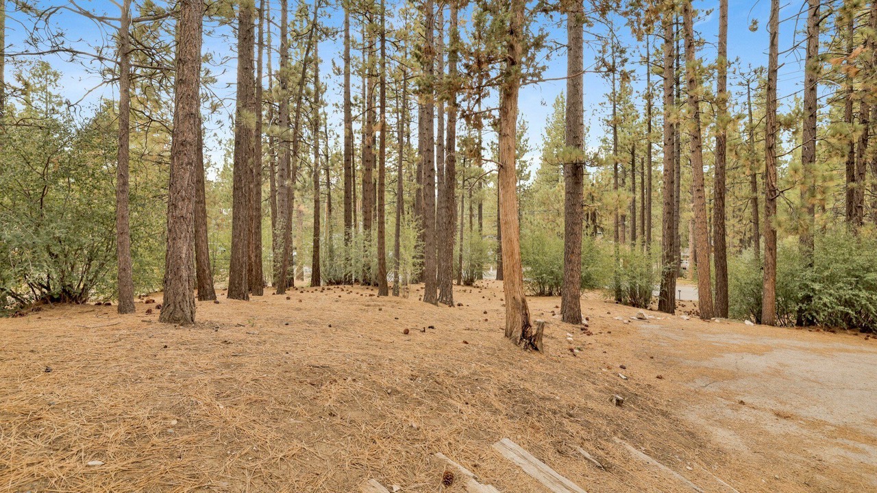 Photo of Others in Big Bear City