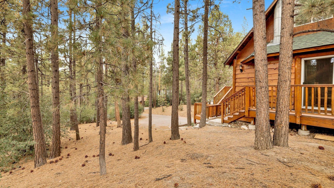 Photo of Outdoor in Big Bear City