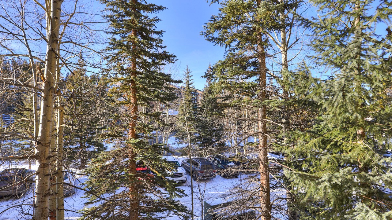 Photo of Others in Peak 9