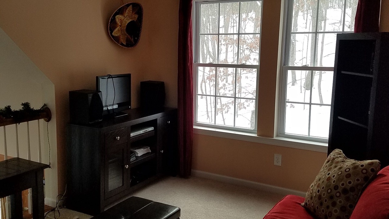 Photo of Livingroom in Lackawaxen