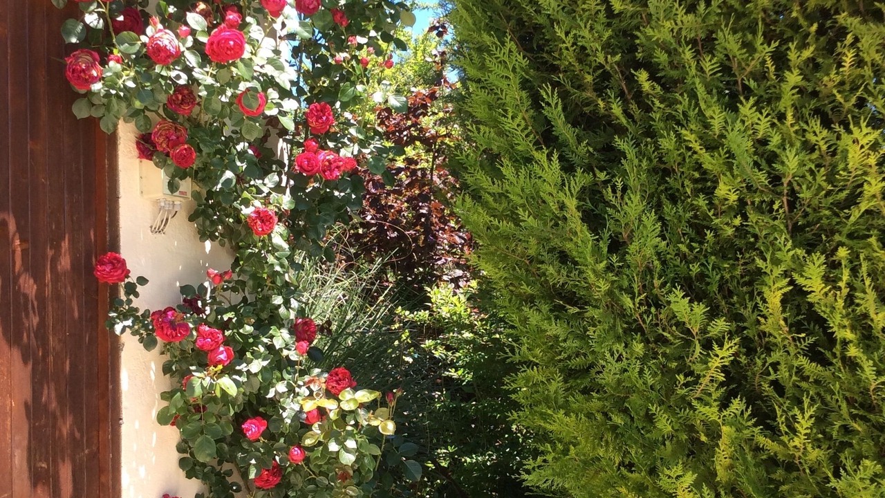 Photo of Outdoor in Mirepoix