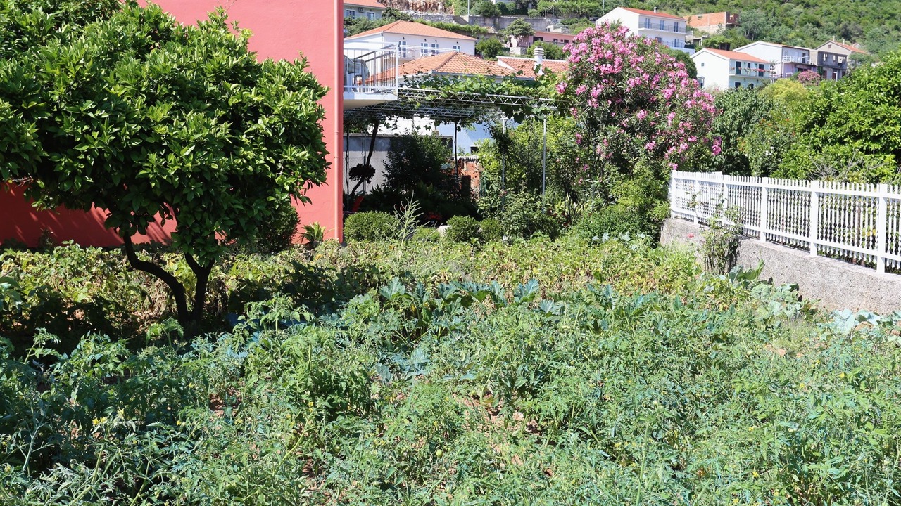 Photo of Outdoor in Trpanj