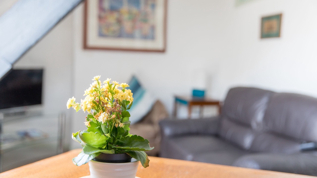 Photo of Livingroom in Topsham
