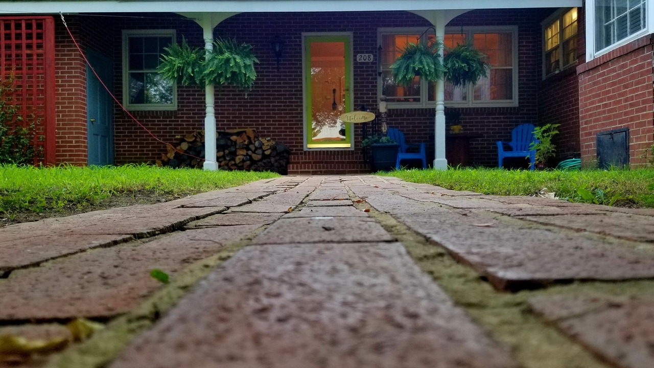 Photo of Outdoor in Woodland