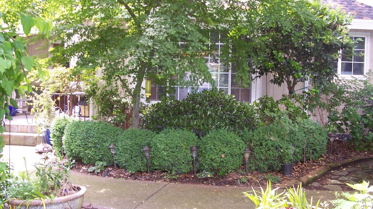 Photo of Outdoor in Loomis