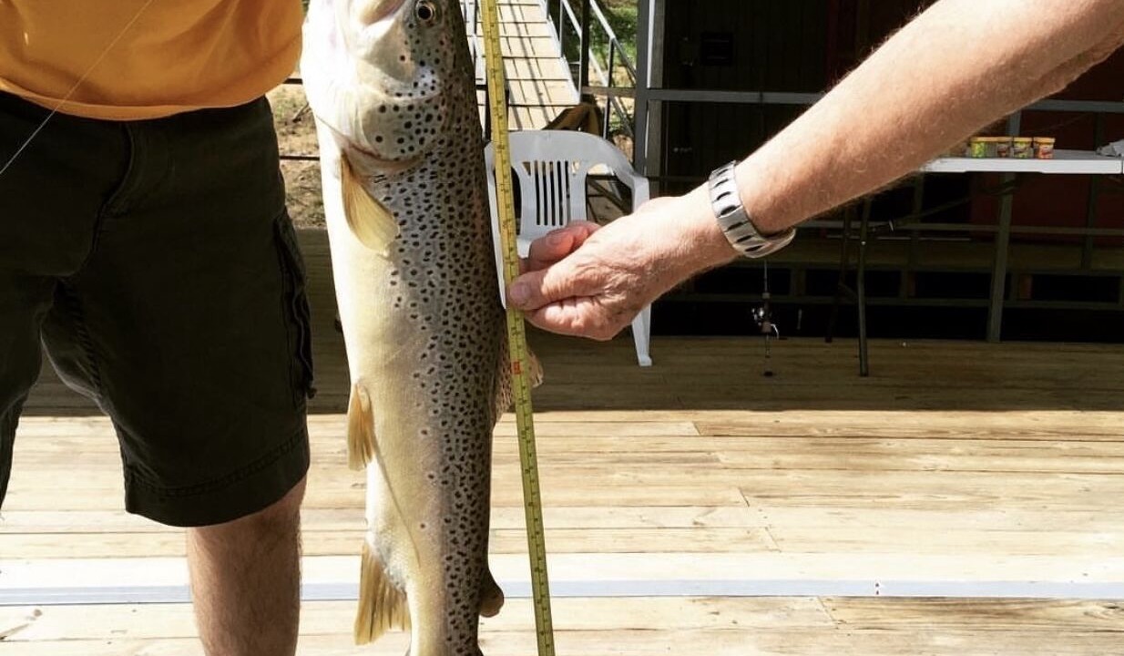 Photo of Outdoor in Heber Springs