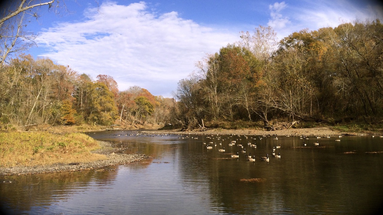 Photo of Outdoor in Heber Springs