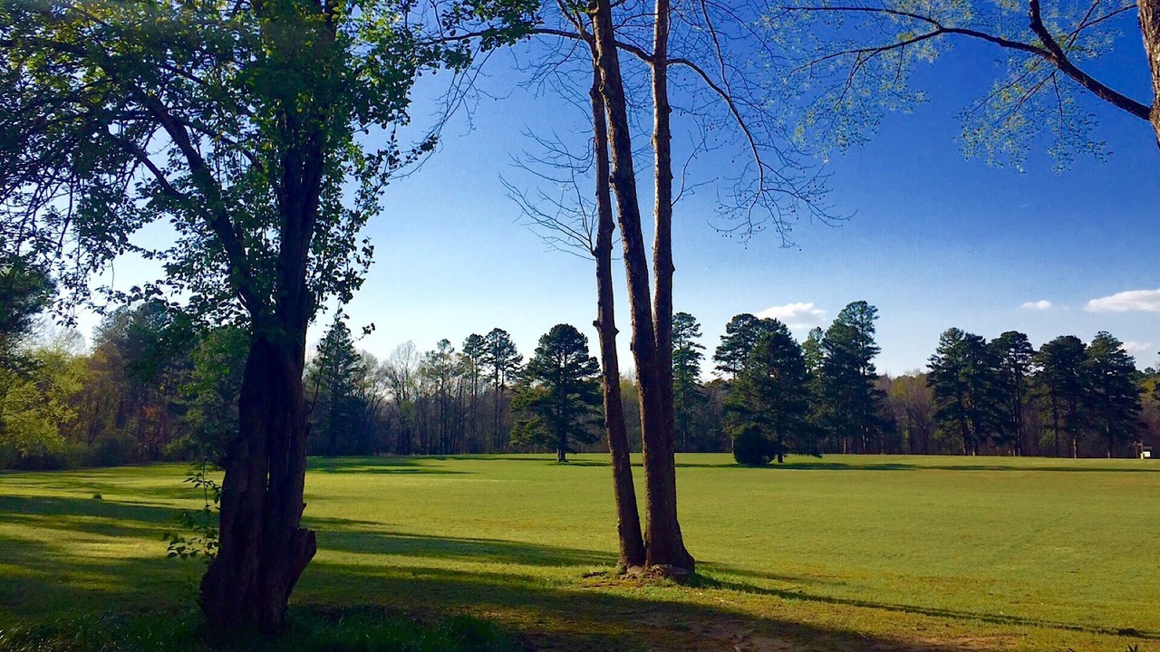Photo of Others in Heber Springs