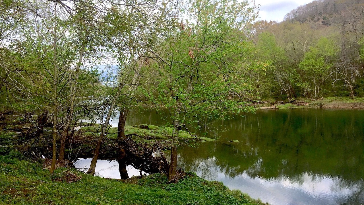 Photo of Others in Heber Springs