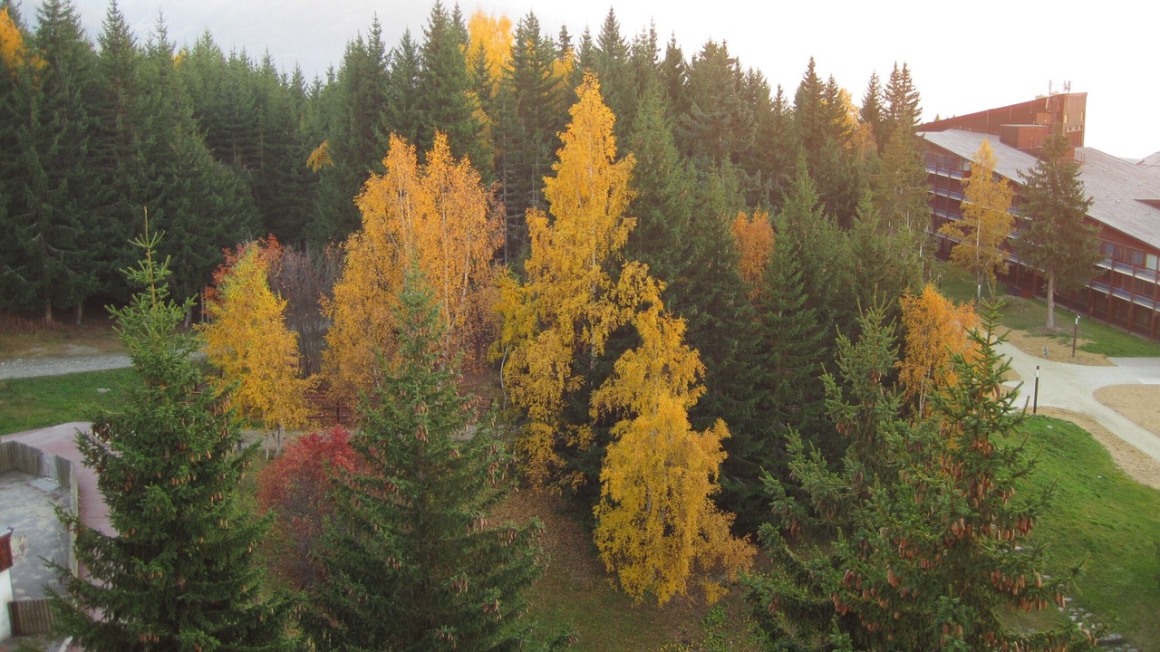 Photo of Outdoor in Arc-1800