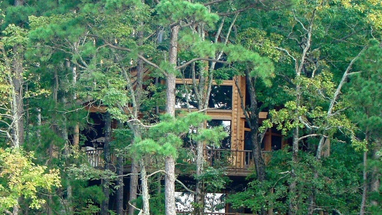 Photo of Others in Bee Branch