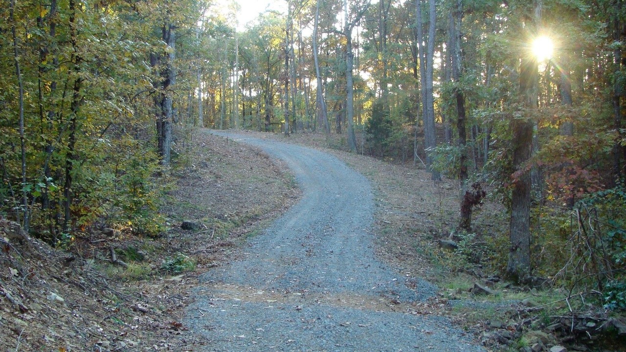 Photo of Others in Bee Branch