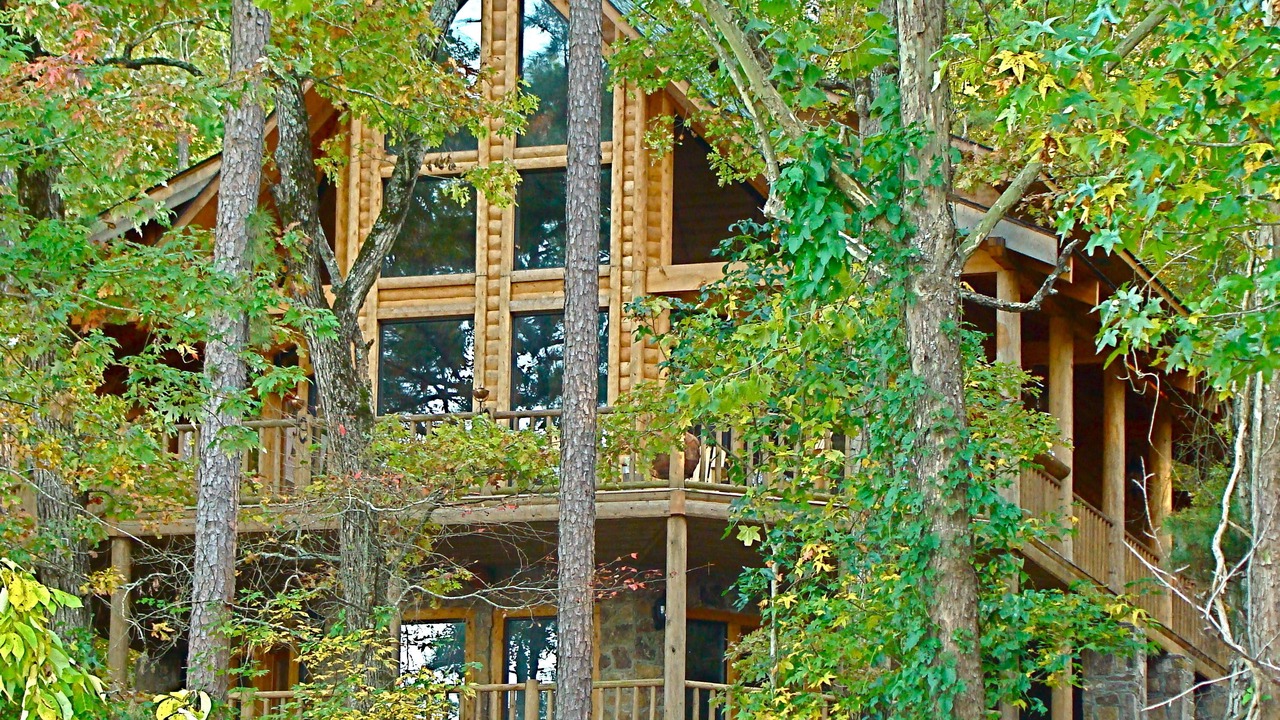 Photo of Outdoor in Bee Branch