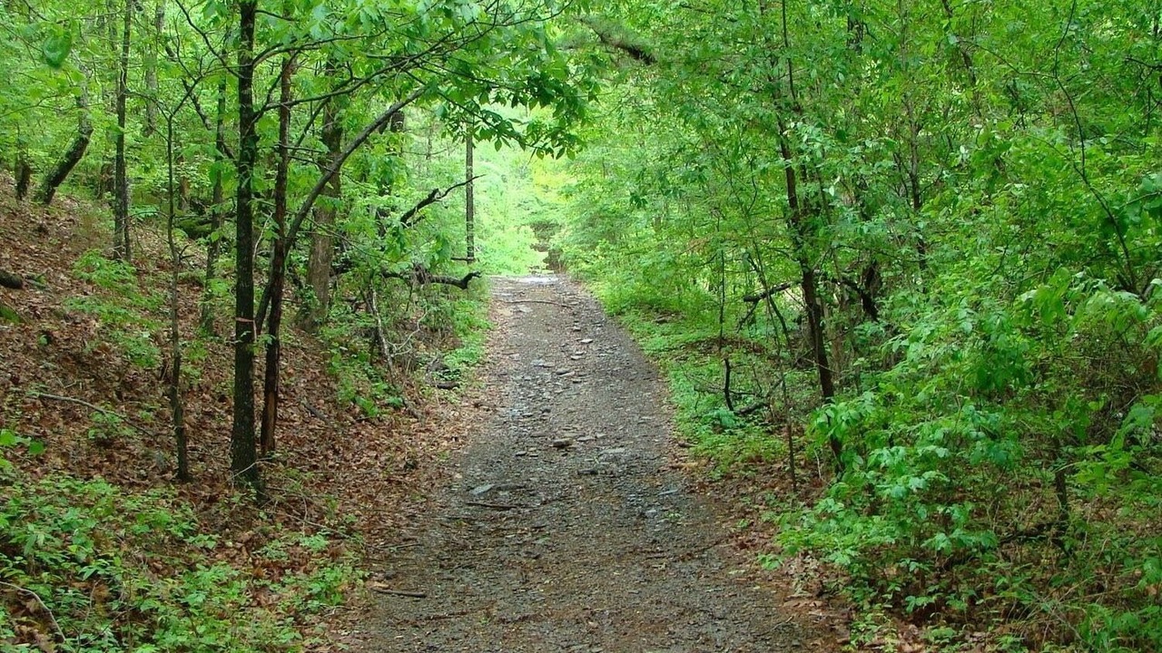 Photo of Outdoor in Bee Branch