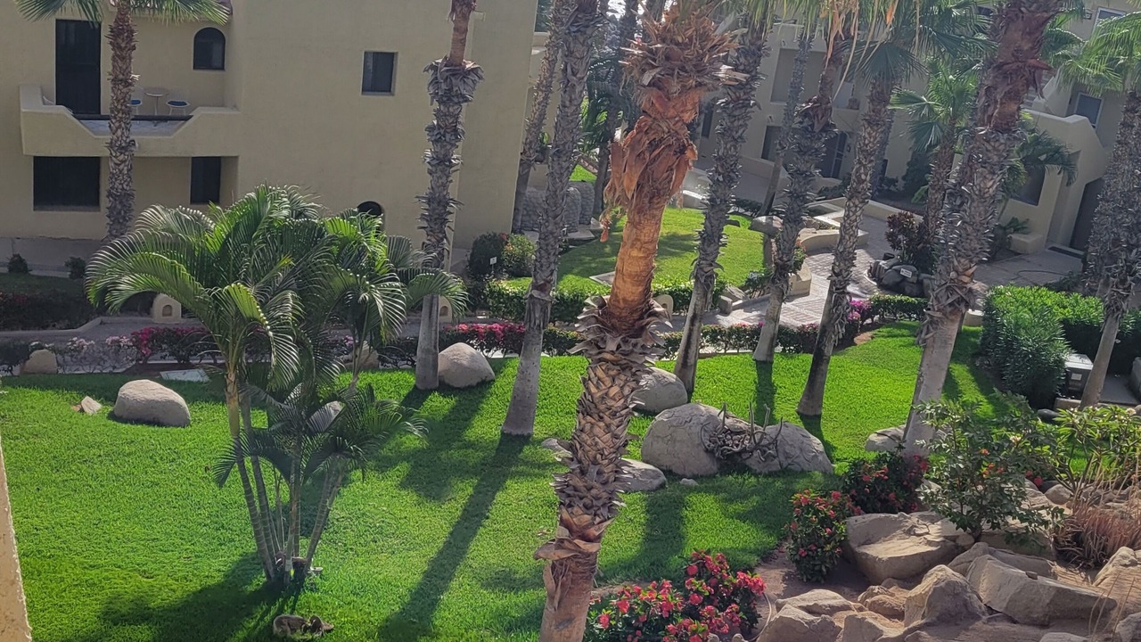 Photo of Outdoor in Cabo Bello