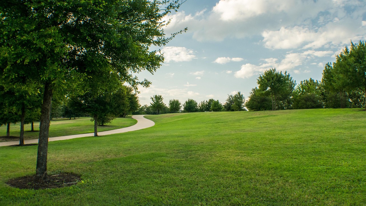 Photo of Outdoor in Mueller