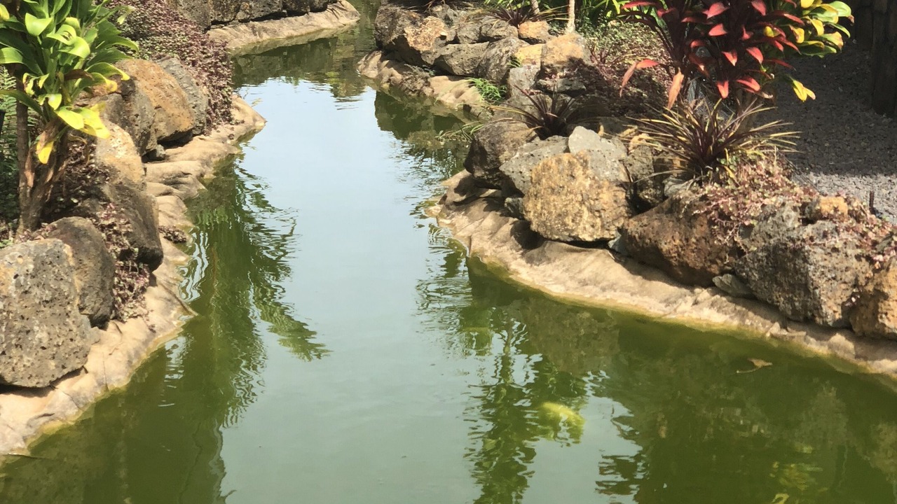 Photo of Outdoor in Poipu