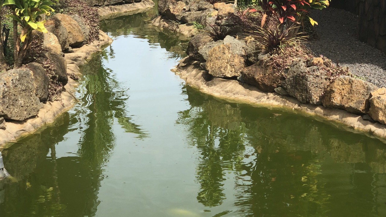 Photo of Outdoor in Poipu