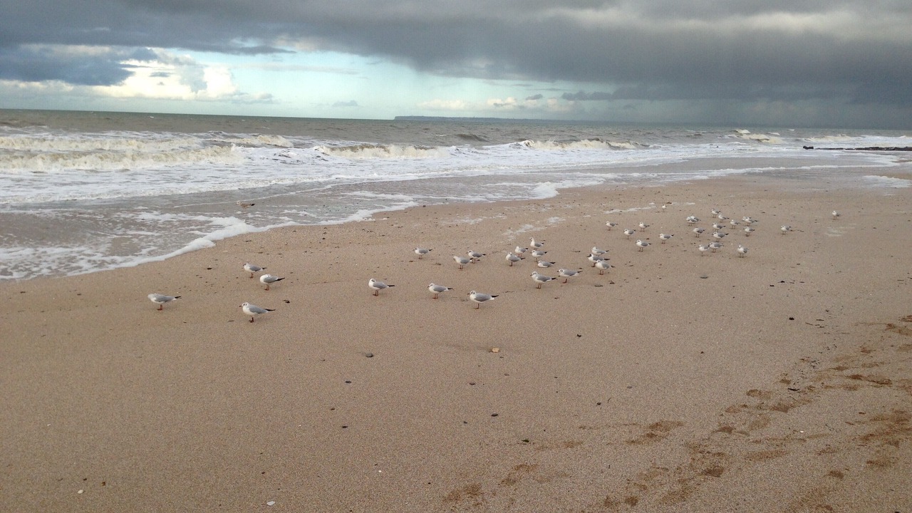 Photo of Others in Blonville-sur-Mer