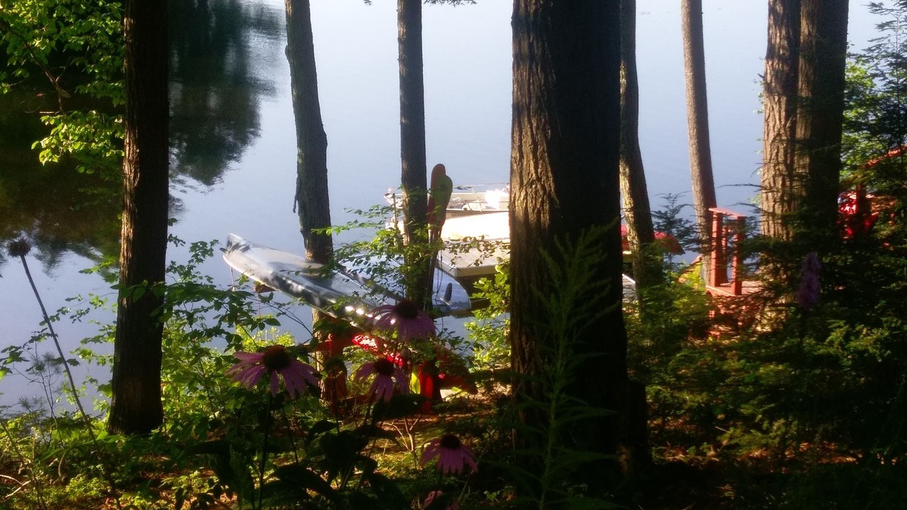 Photo of Others in Rindge