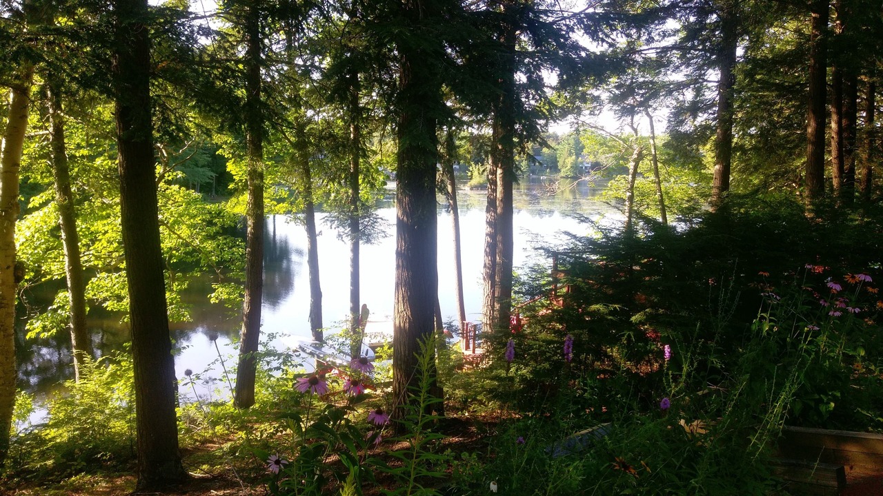 Photo of Others in Rindge