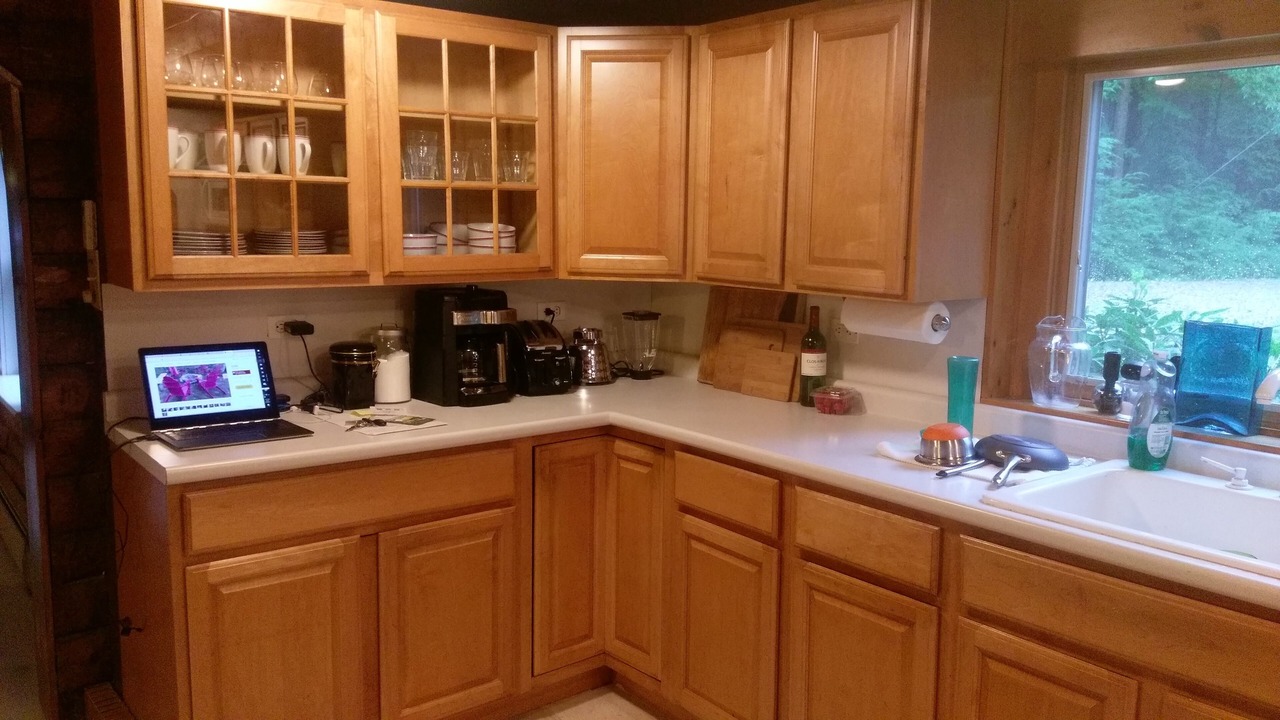 Photo of Others in Rindge