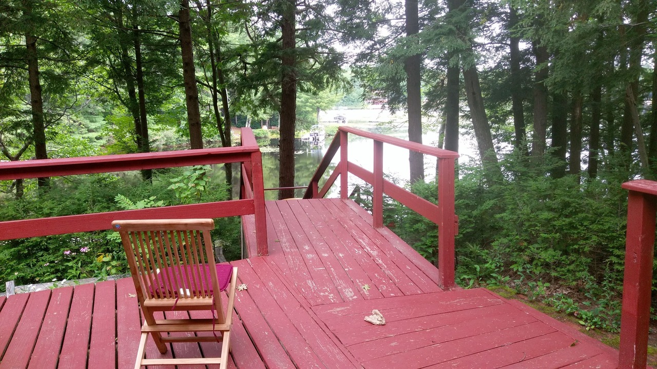 Photo of Others in Rindge