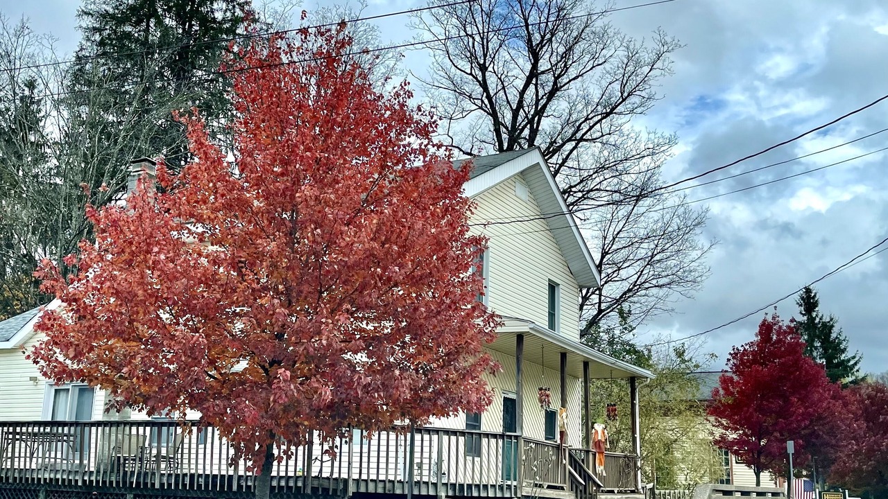 Photo of Others in Andes