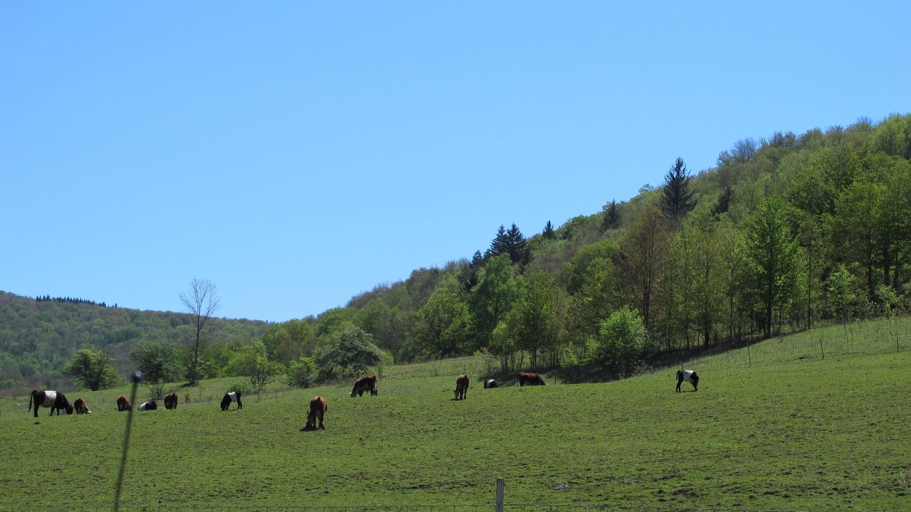 Photo of Others in Andes