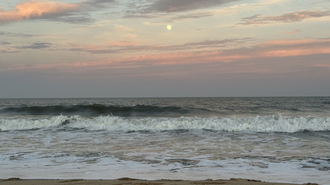 Photo of Others in South Bethany