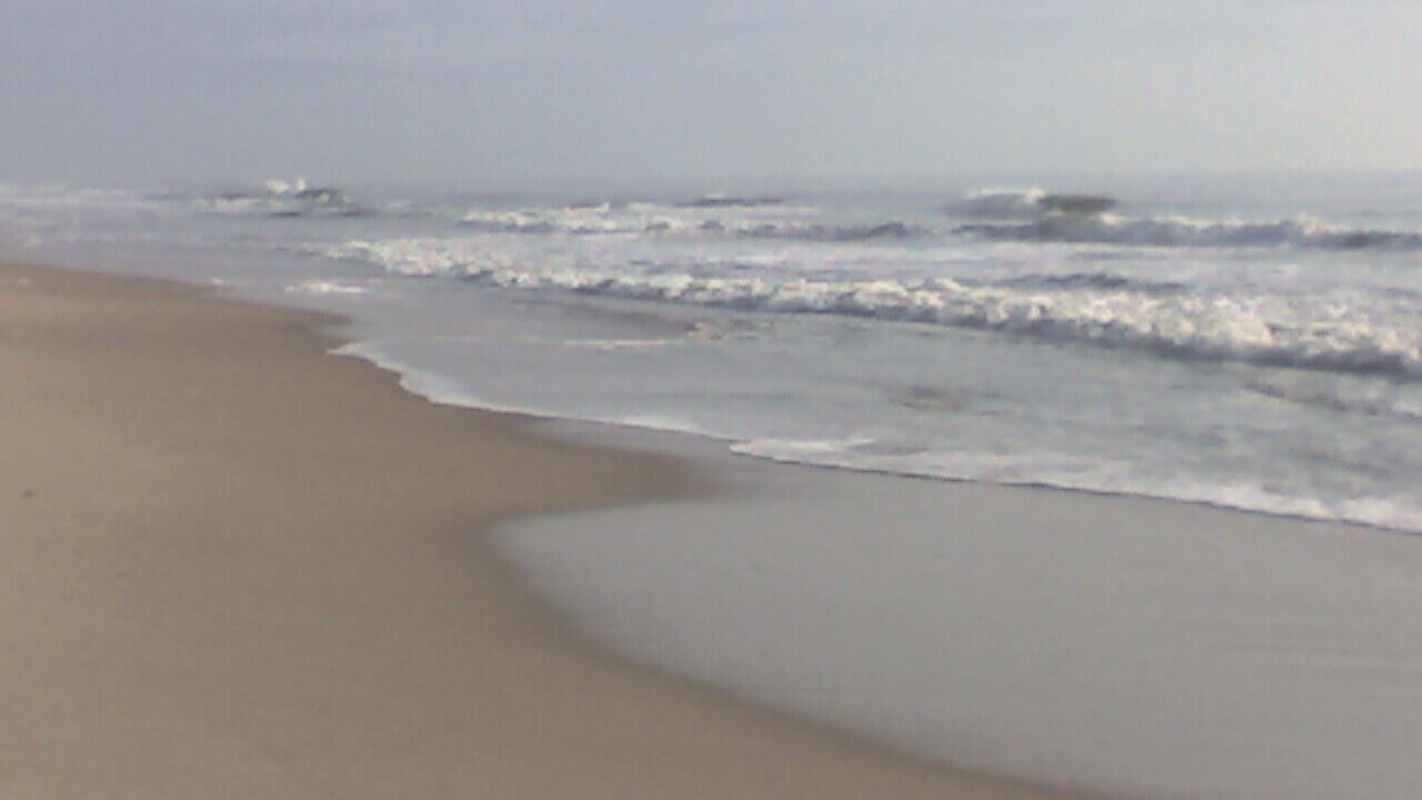Photo of Others in South Bethany