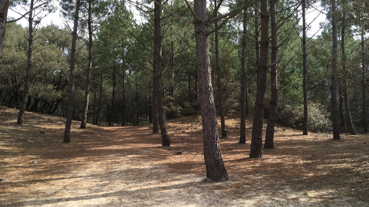 Photo of Outdoor in Chateau-d'Olonne