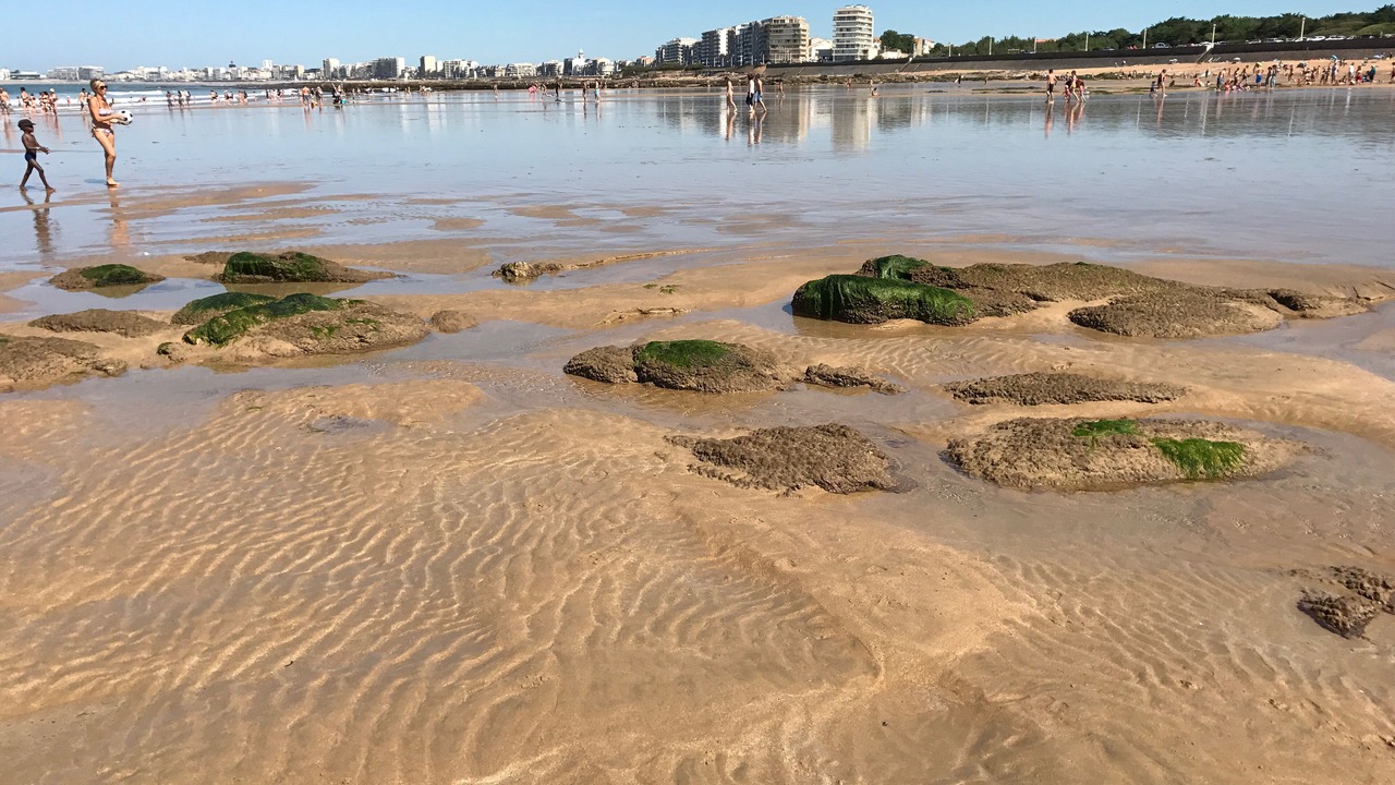 Photo of Others in Chateau-d'Olonne