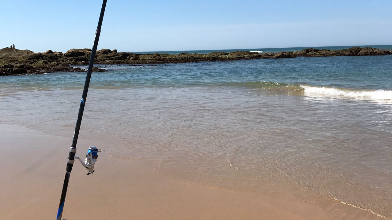 Photo of Others in Chateau-d'Olonne