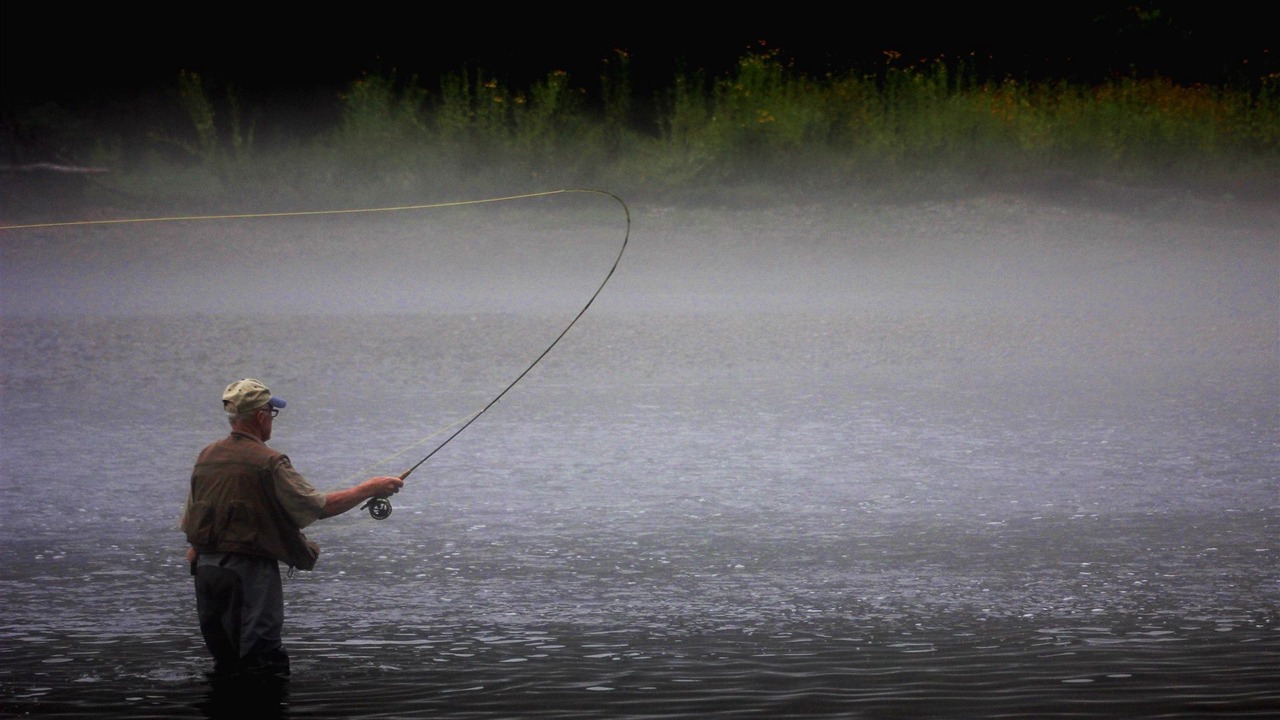 Photo of Others in Norfork