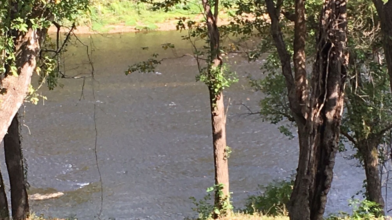 Photo of Outdoor in Norfork