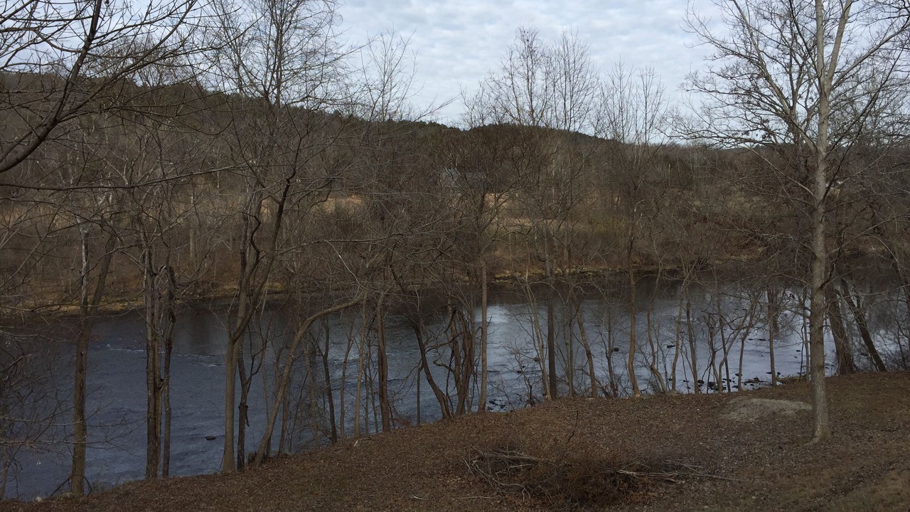Photo of Others in Norfork