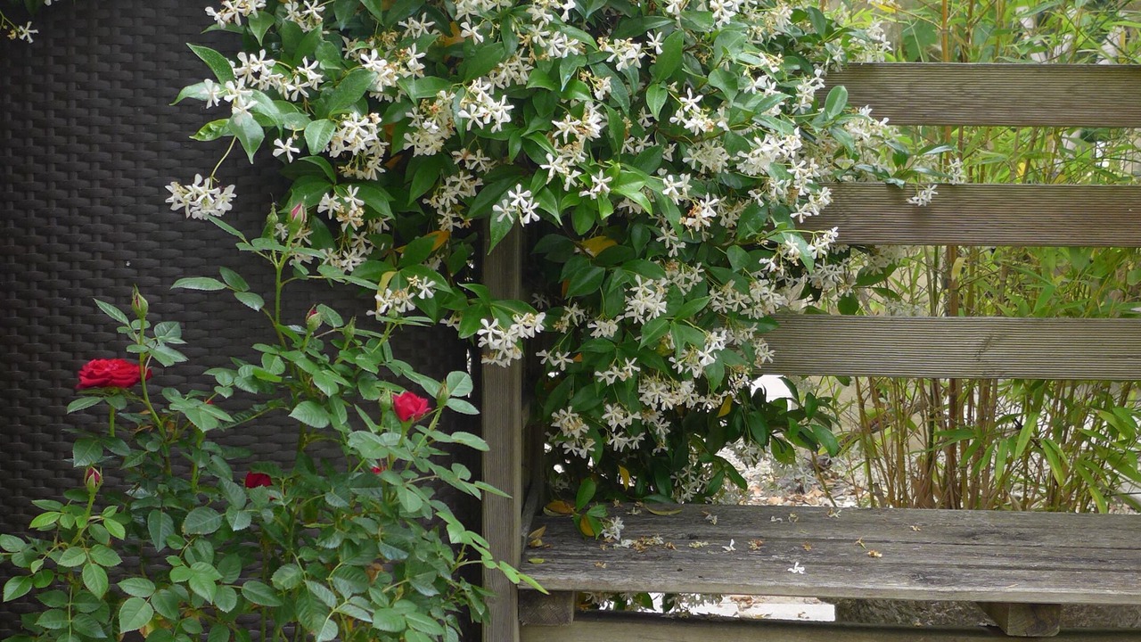 Photo of Outdoor in Rognonas