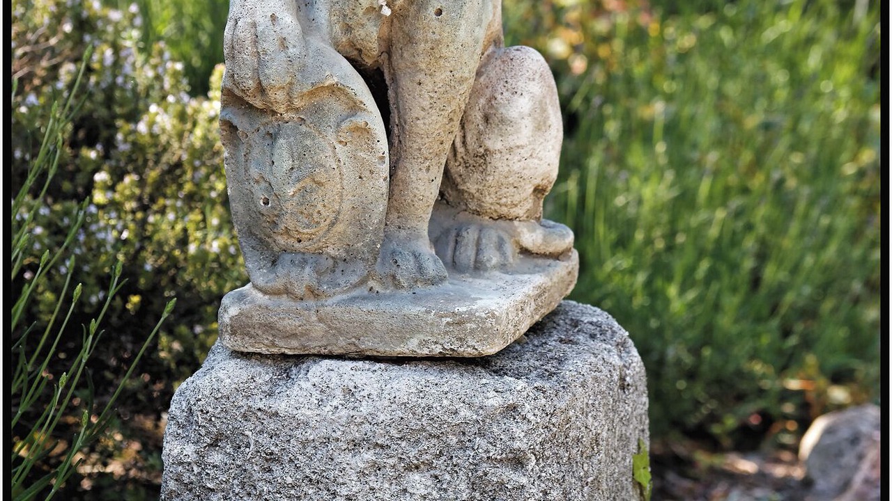 Photo of Outdoor in Rognonas